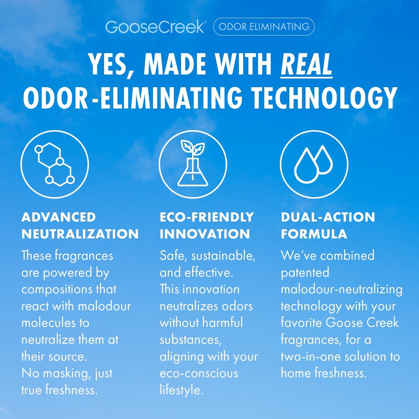 Dragonfruit Splash Odor Eliminating Wax Melt